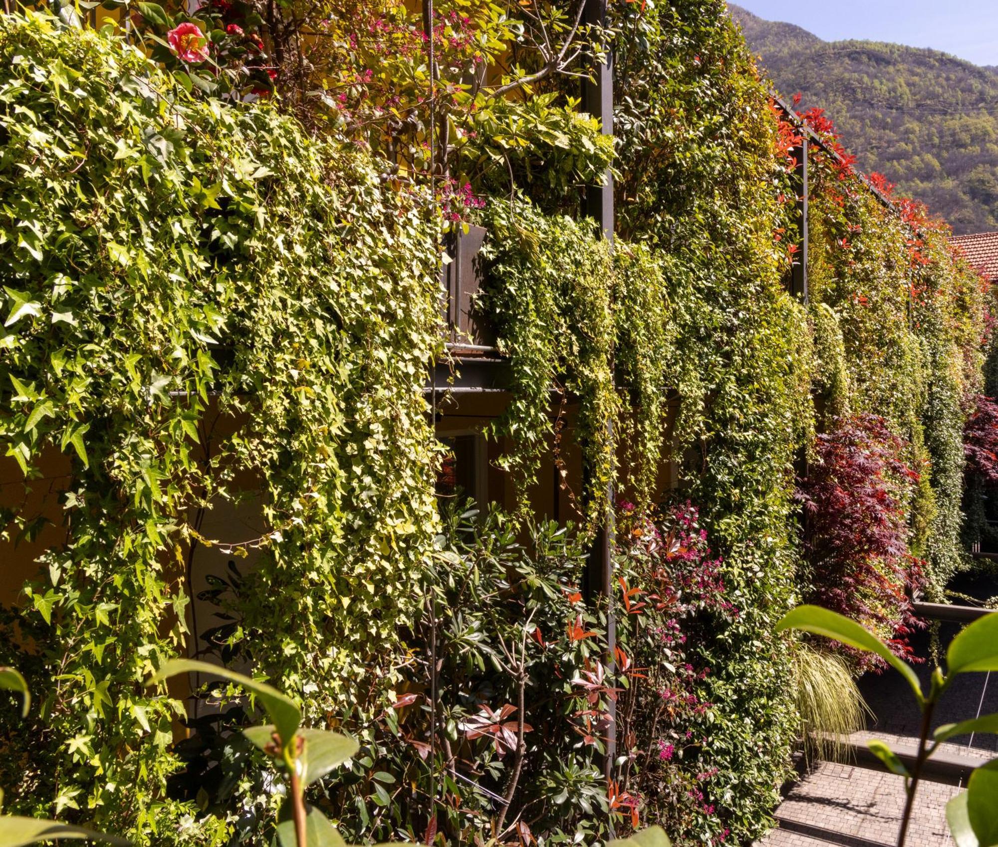 Residence Casa Coppa Appartamento Ivy Omegna Exterior photo